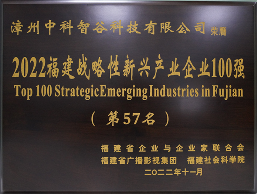 福建戰略性新興企業100強
