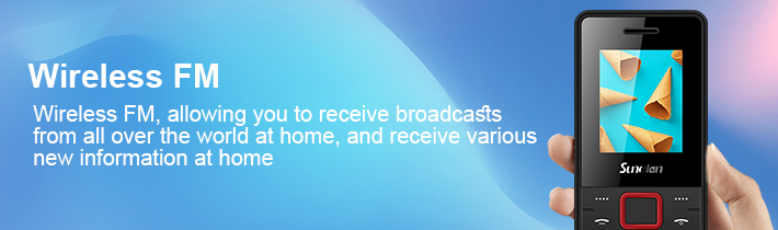 Wireless FM