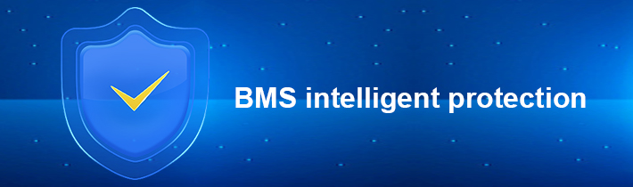 BMS intelligent protection