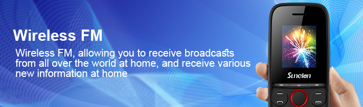 Wireless FM