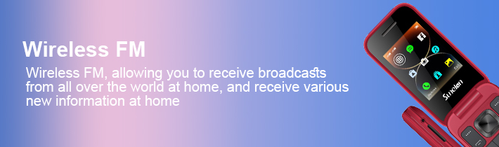 Wireless FM